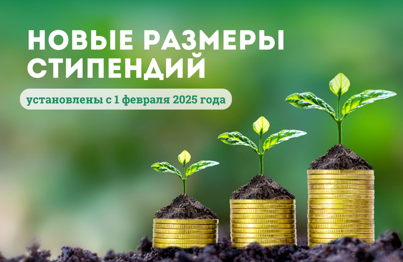 Все о новых размерах стипендий